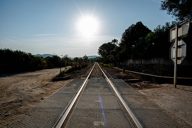 Sunlit railway crossing in Corsica with tracks stretching into the distance, surrounded by rural vegetation and warm late-afternoon light.