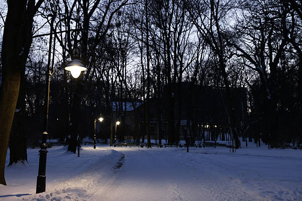Trees, street lamps and pathway covered with snow in evening park
