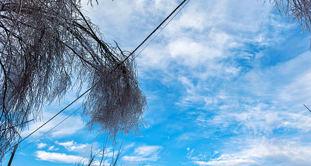 Power line failure due to ice storm, fallen tree branches on electric wires