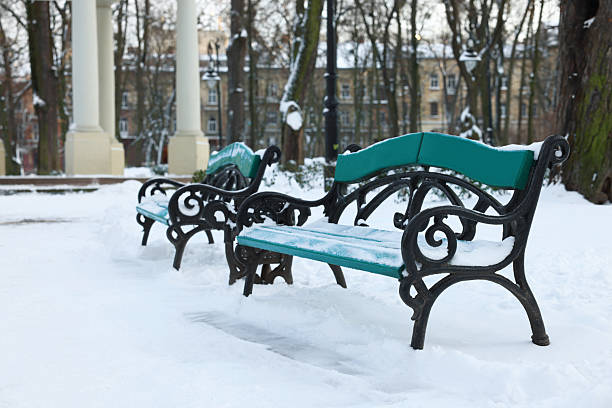 Green benches and trees in snowy park