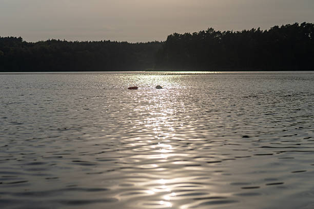 Fun summer holiday by a beautiful sunlit lake in Zbiczno, Poland. Calm surface of the lake water illuminated by the sun and surrounded by nature