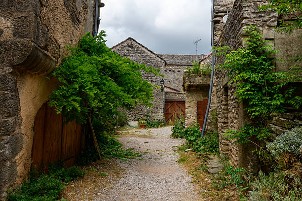 Secluded gravel alleyway lined with rustic stone buildings and lush climbing plants in La Couvertoirade, under a moody sky. Weathered textures and overgrown foliage create a peaceful, timeless village scene.