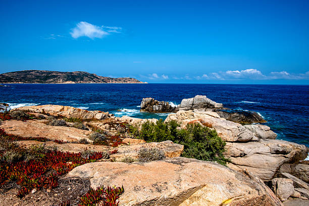 Rocky Mediterranean coastline with deep blue sea and clear sky in Corsica, France. Natural stone formations, coastal vegetation and calm summer atmosphere.