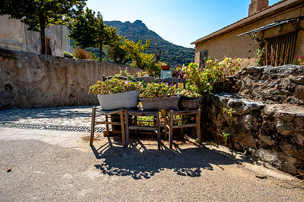 Rustic village corner with wooden chairs used as plant holders in Corsica, France. Sunlit stone walls, greenery and mountains create an authentic Mediterranean slow living atmosphere.