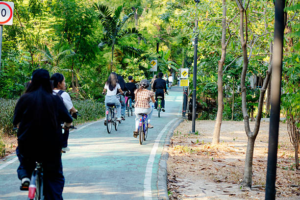 Woman riding bicycle with flowers in basket outdoors