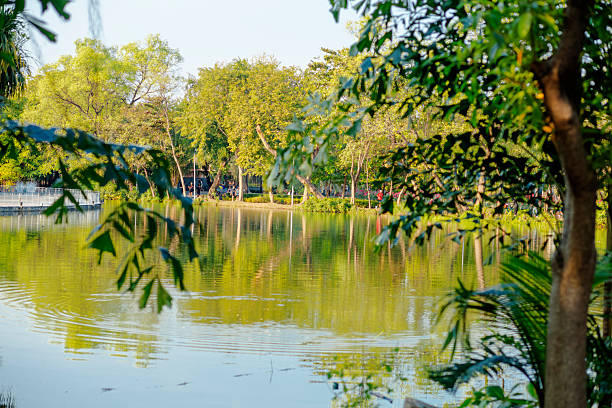 View over pond in Wachirabenchatat Park  in Bangkok. Park is also called Rot Fai Park. Behind trees in background people are walking or jogging on footpath through park