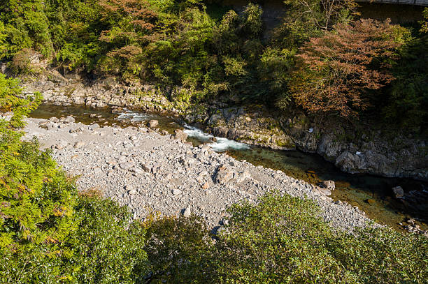 istock Stony riverbank with clear water in forest gorge 2255921848