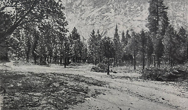 Antique illustration pre 1900 - tree area in Yosemite Valley