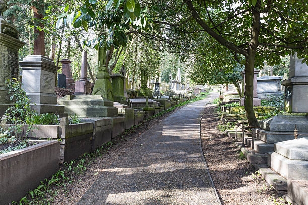 Scenic autumn view of St Marx Cemetery in Vienna, Austria, with colorful foliage, historic gravestones, and pathway leading to the gate.