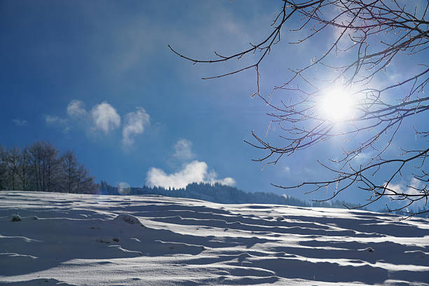 Winter landscape features snow-covered ground and bright sun shining through tree branches, creating a peaceful ambiance and highlighting natural beauty