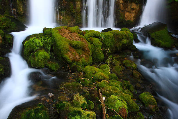 Waterfall, mountain river, between moss and vegetation, Cadi Moixero natural park, Barcelona Catalonia, Spain