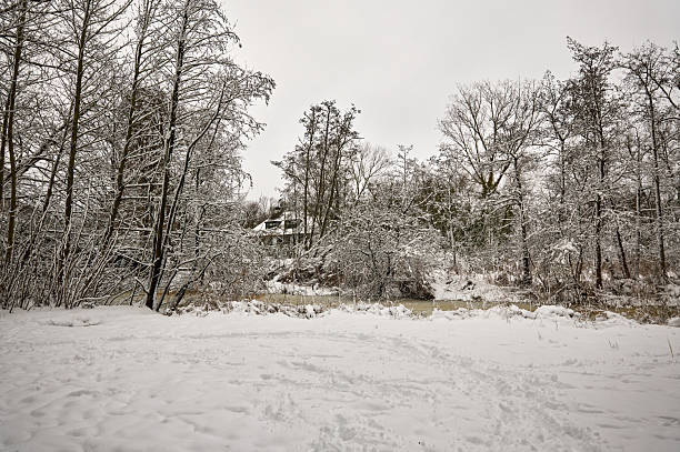 Snow-covered trees line a winding stream with footpaths in a winter natural scene