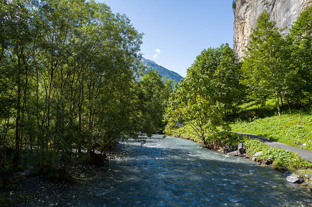 A crystal-clear river flows through lush green forest at the base of steep limestone cliffs in Cirque du Fer-a-Cheval. Bright sunlight and blue sky highlight the vibrant summer landscape and tranquil mountain atmosphere.