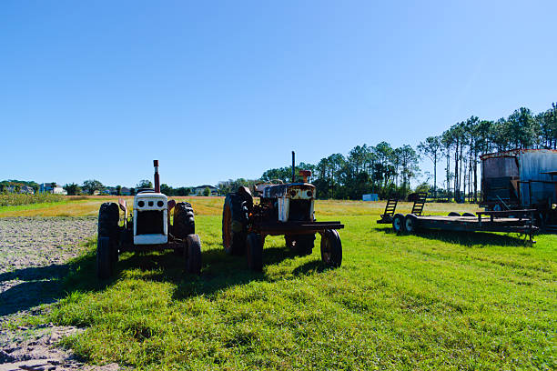 A vintage tractor sits in Spring sunshine at the edge of a large field in Nova Scotia's Annapolis Valley.