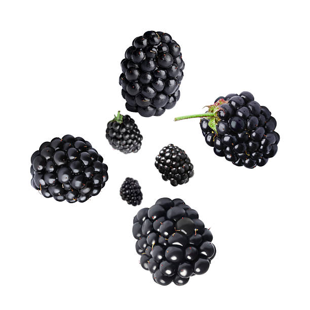 Fresh blackberries in air on white background