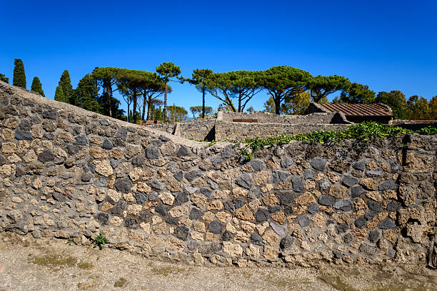 Ancient volcanic stone walls border an open area with Mediterranean pine trees at the archaeological site of Pompeii, Italy. Bright sunlight and a vivid blue sky highlight the textures of the historic ruins and natural greenery.