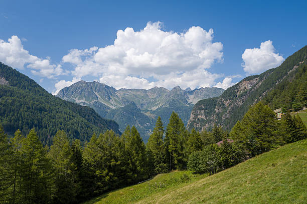 5,300+ Forest Mountain View Stock Photos, Pictures & Royalty-Free