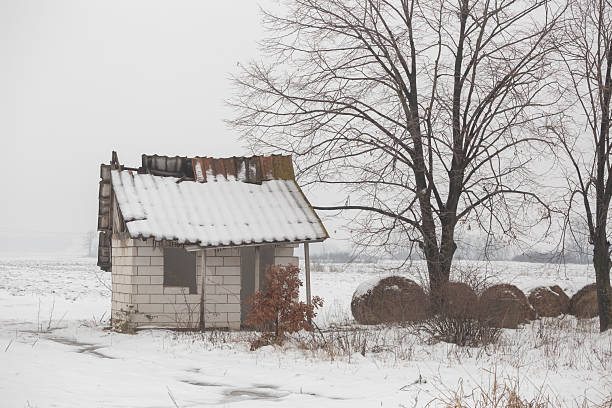 Old shack in cold winter morning in countryside