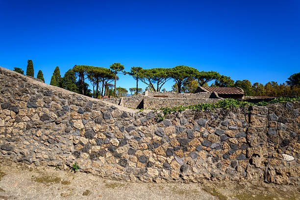 Sunlit volcanic stone walls border an open area with lush Mediterranean pine trees at the archaeological site of Pompeii, Italy. The vivid blue sky and rough masonry textures evoke the ancient character of this historic Roman city.
