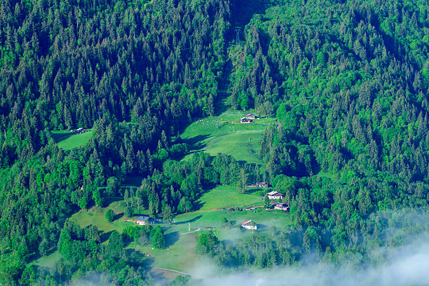 Aerial view of small houses and chalets dotted across vibrant green meadows surrounded by dense forest, with low morning mist drifting at the edge of a tranquil alpine valley near Chamonix.