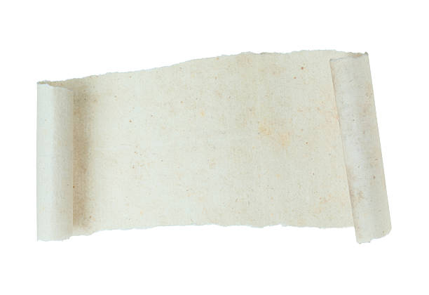 Torn ancient paper sheet with curled edges and flat center, isolated on a transparent background. Vintage textured parchment with copy space for historical, classic, or editorial design