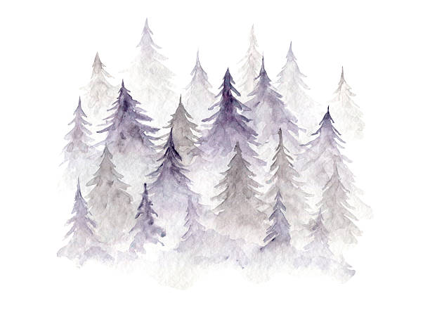 Light misty purple and gray gradient watercolor illustration of textured coniferous fir forest. Evergreen watercolour pine trees landscape print for winter Christmas design, poster, sticker
