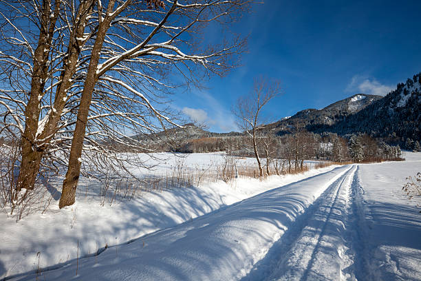 Road in winter mountains with lots of snow, trees, beautiful blue sky on a sunny day, Schwangau, Allgau, Bavaria, Germany