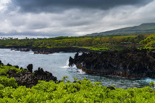 This stunning aerial drone shot captures the breathtaking beauty of Kealakekua Bay on Hawaii's Big Island. The image showcases the vibrant turquoise waters, rugged volcanic coastline, lush tropical greenery, and oceanfront homes nestled among palm trees. The bay is known for its rich marine life, historical significance, and excellent snorkeling and kayaking opportunities. The dramatic contrast between the black lava rock, deep blue ocean, and verdant landscape highlights the island's natural splendor.