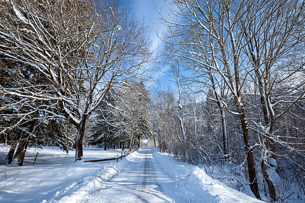 Road in winter mountains with lots of snow, trees, beautiful blue sky on a sunny day, Schwangau, Allgau, Bavaria, Germany