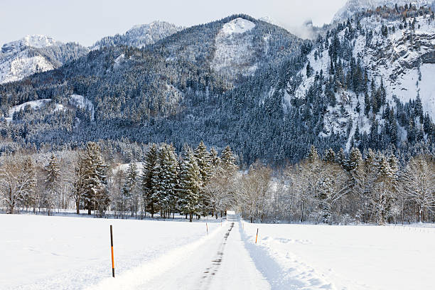 Road in winter mountains with lots of snow, trees, beautiful blue sky on a sunny day, Schwangau, Allgau, Bavaria, Germany