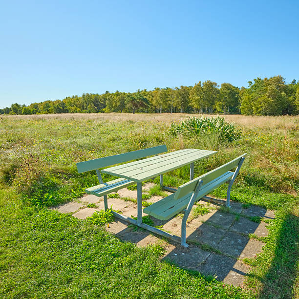 A tranquil scene of a picnic bench in a peaceful Danish meadow under a sunny blue sky. The place evokes feelings of relaxation, sunshine, nature, and outdoor serenity perfect for leisure moments.