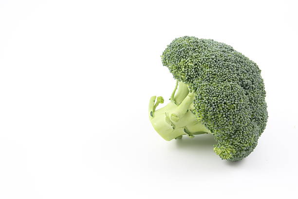 High-quality broccoli photo on a white background with natural shadows. The wide space on the left is suitable for placing catchphrases or logos.