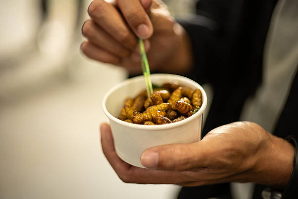 Close-up hand of man enjoying street food snack at a night market.