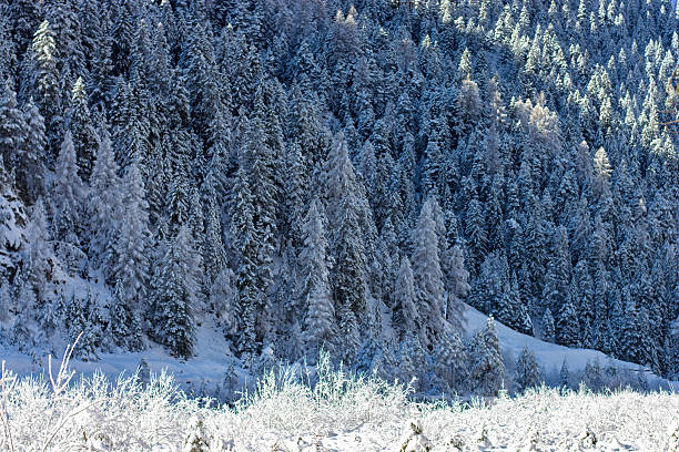 the splendid Ampezzo Dolomites in Cortina d'Ampezzo