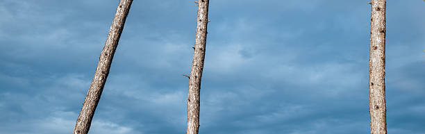 Broken pole after storm.