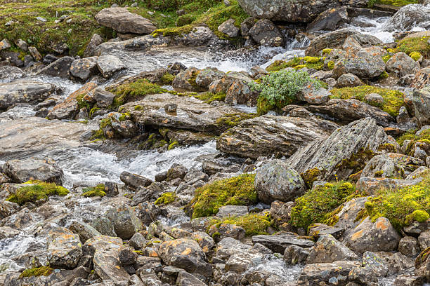 Dramatic scenery. Low overcast clouds over the small mountain river. Khibiny, Kola Peninsula, Russia