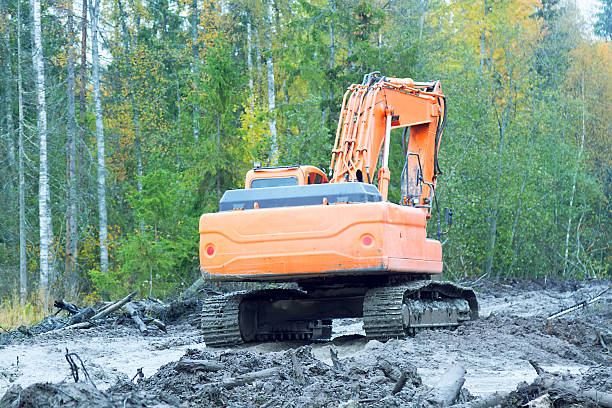 Excavator operation in a swampy forest area. Torn-up dirt and scattered tree trunks