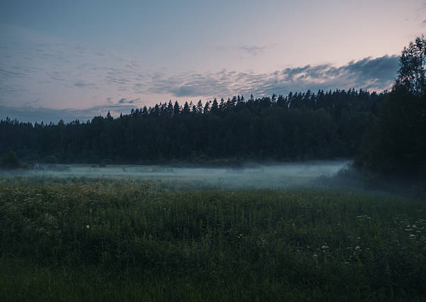 Fog drifts across a grassy meadow at daybreak. Trees of the forest stand silhouetted against the colorful sky as dawn breaks over the natural landscape.