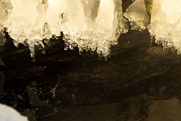 A close-up view of thick, rounded icicles and frozen water formations hanging from a dark rocky overhang