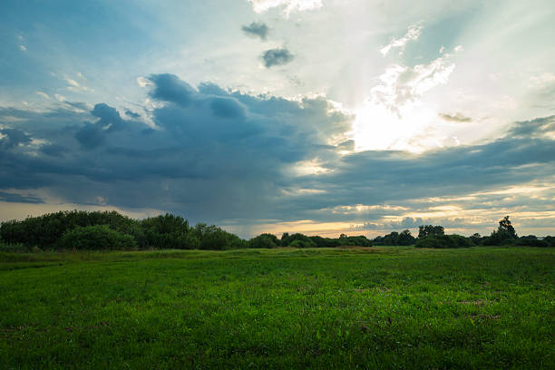 The sun emerges from behind a dark cloud over a green meadow