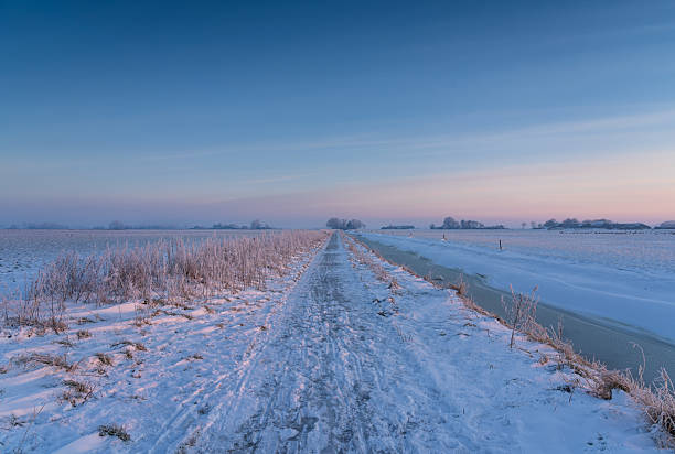 Frozen birch trees along a single lane road