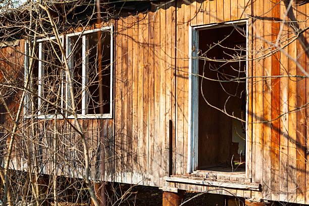 Old wooden cabin, weathered and elevated on stilts, amid bare branches, open door and windows revealing shadowed interior. Structure aged planks and peeling frames means abandonment and quiet decay