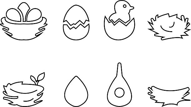 istock vectors of stylized bird nests with eggs and birds icon set, for logos and design elements, Eggs, Nature, Wildlife, Tree Branch, Shelter, Parenting, Animal Habitat, Environment, and Natural Care 2256039179