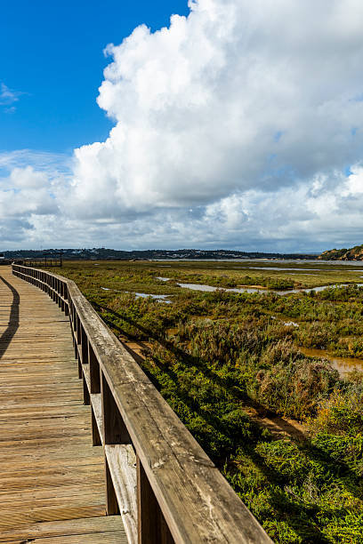 Passadiços de Alvor  scenic wooden walkways in the Algarve offering beautiful coastal views and natural landscapes.