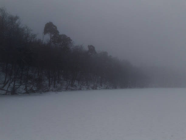 Winter's landscape with a beautiful view of a lake.