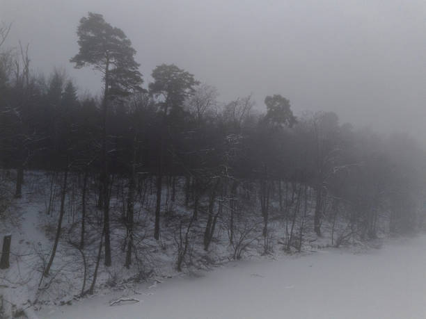 Dense fog drapes a frozen lake as a thick tree line fades into chilly mist. A quiet, wintry landscape that evokes calm, solitude, and natural atmosphere of German countryside.