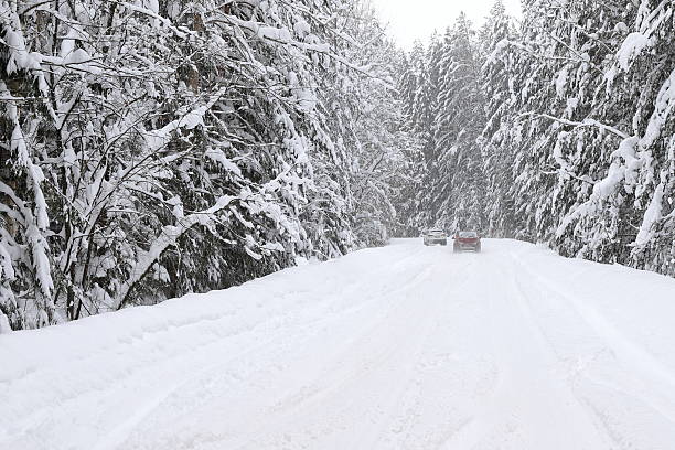 A black-and-white landscape of a road in a winter conifer forest on a snowy, cloudy day.