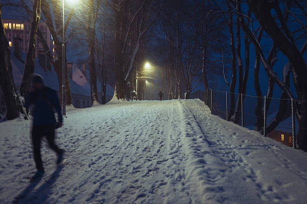 Landscape of a winter alley in the park