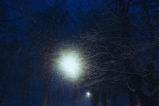 Moody winter night scene with falling snow illuminated by a bright streetlight shining through bare tree branches. Atmospheric outdoor landscape evoking cold, darkness, solitude, and quiet winter weather in an urban park or forest.