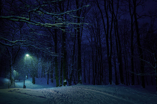 Atmospheric winter night scene of fresh snowfall illuminated by a streetlight along a snow-covered path surrounded by bare trees. Quiet, moody landscape conveying cold, solitude, and stillness in a dark urban park or forested area.